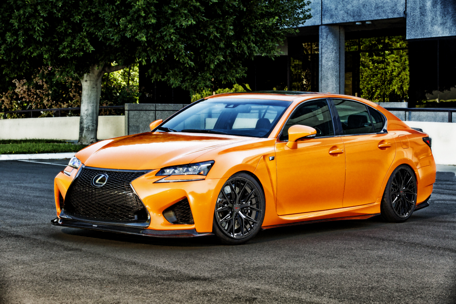 Vista-LEXUS(压缩).png
